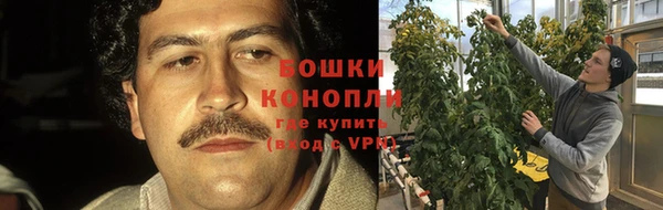 мяу мяу мука Белокуриха