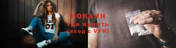 мяу мяу мука Белокуриха